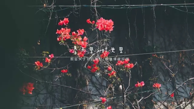 云顶集团·(中国)手机版app下载