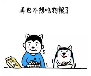 云顶集团·(中国)手机版app下载