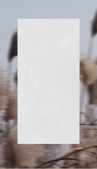 云顶集团葭灰质感砖图