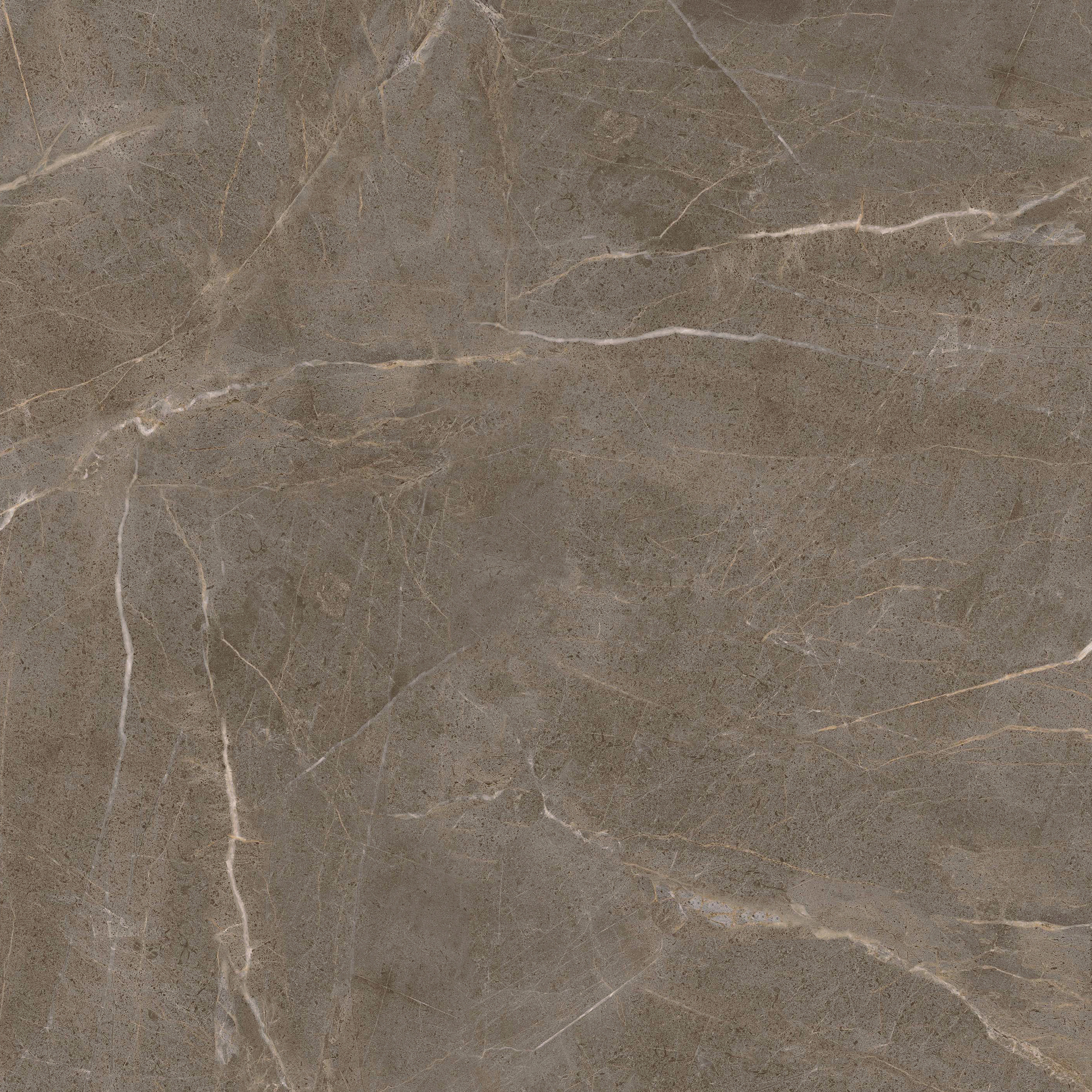 云顶集团·(中国)手机版app下载