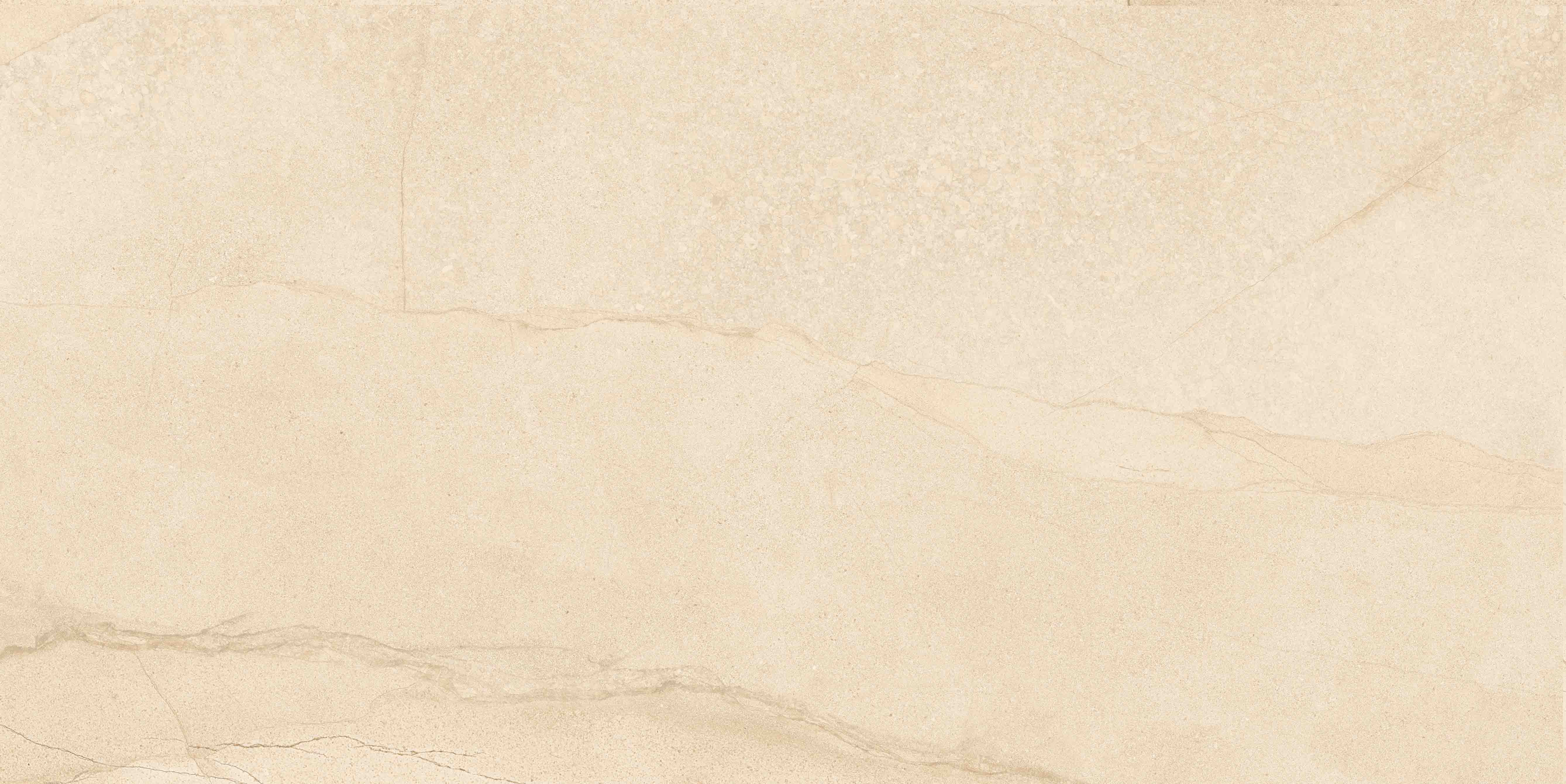 云顶集团·(中国)手机版app下载