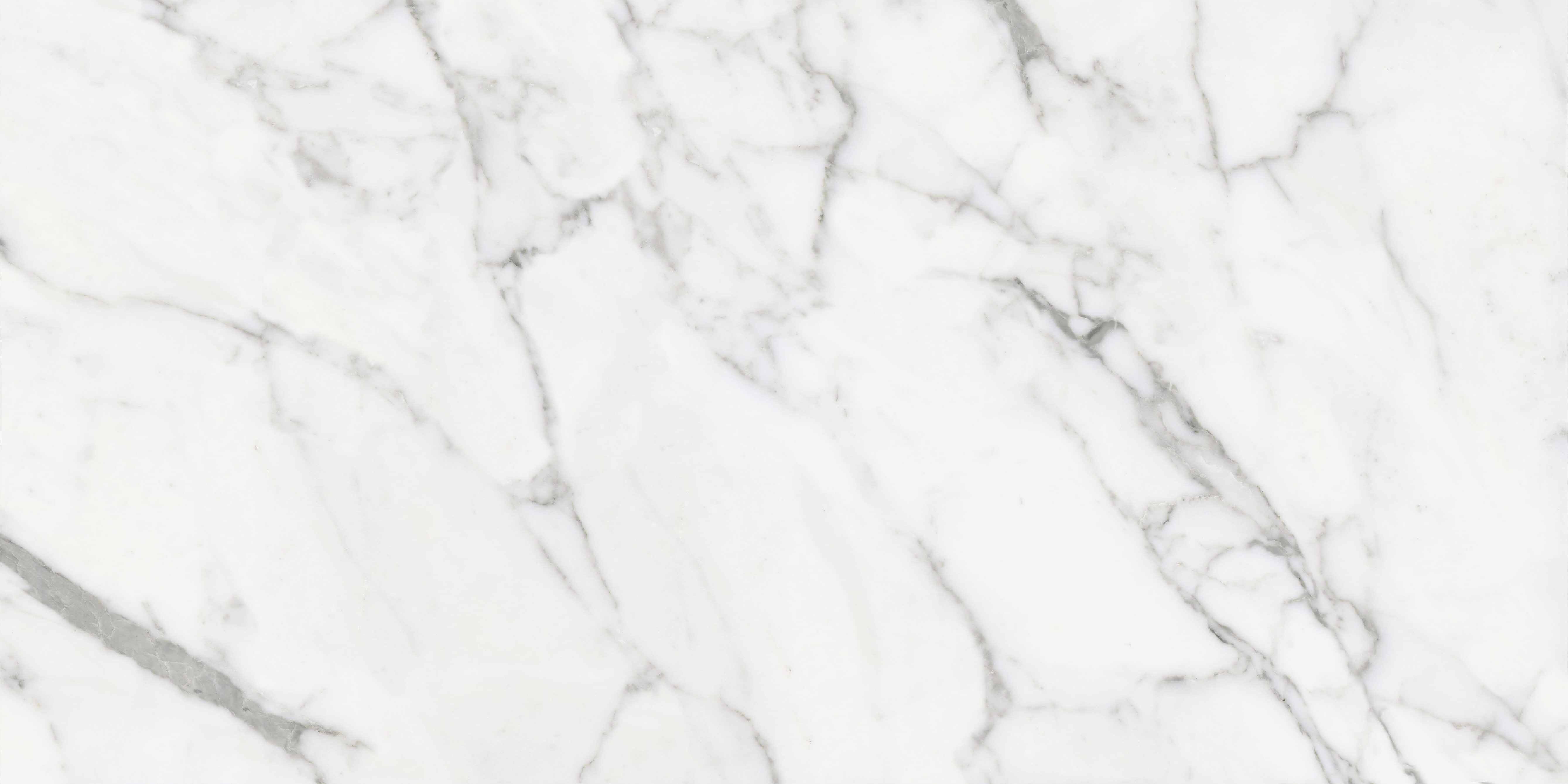 云顶集团·(中国)手机版app下载