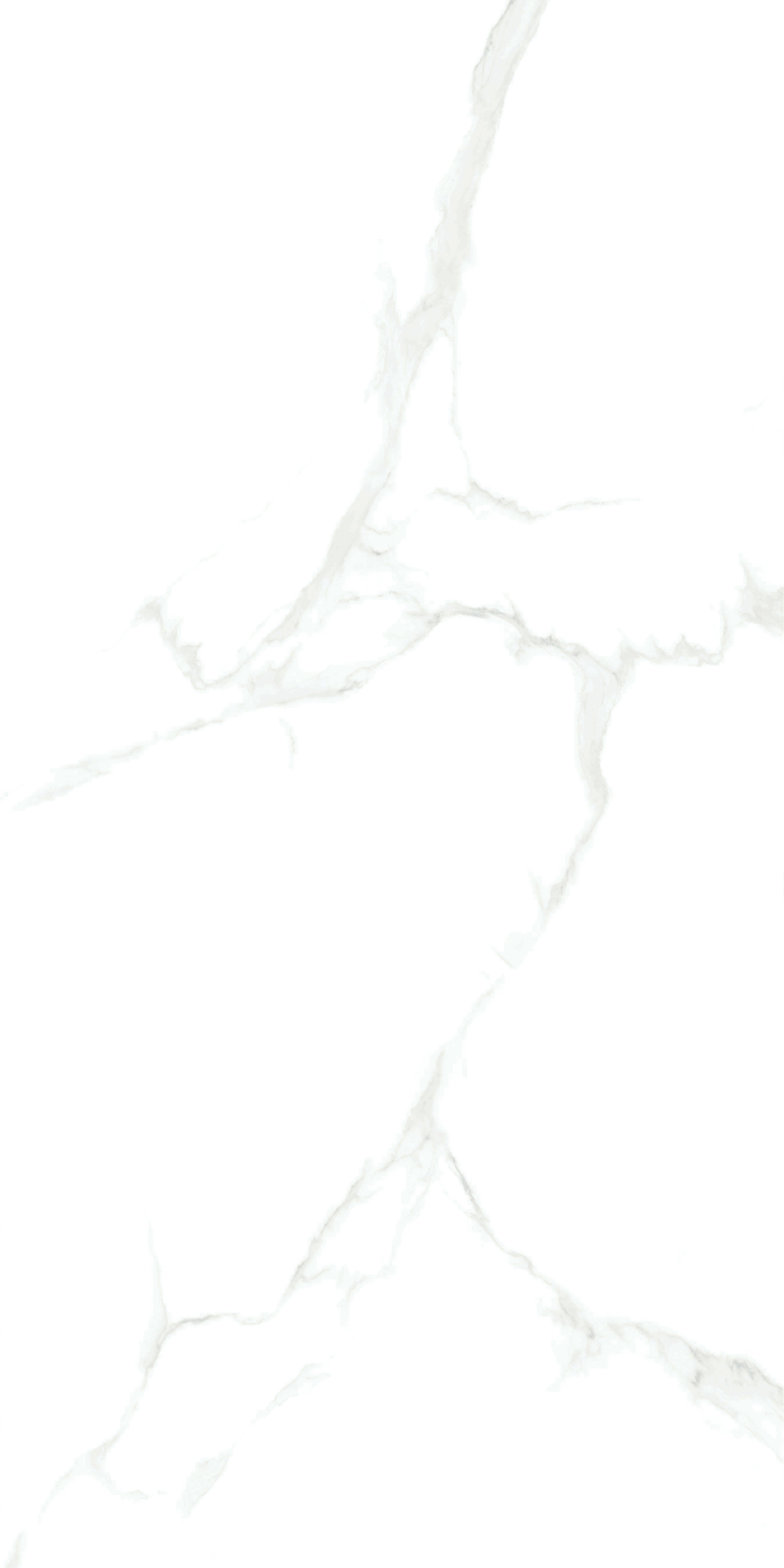 云顶集团·(中国)手机版app下载