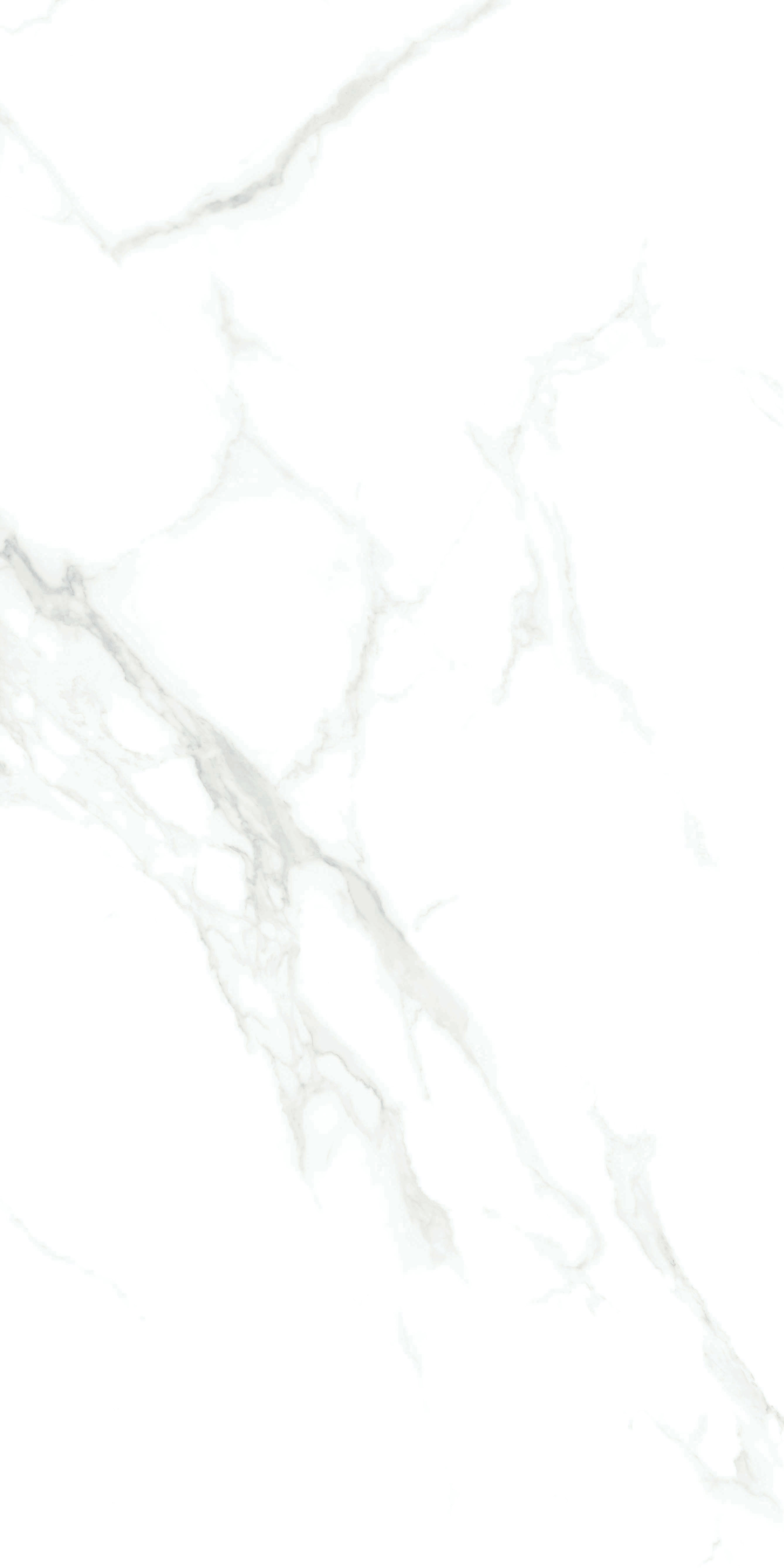 云顶集团·(中国)手机版app下载