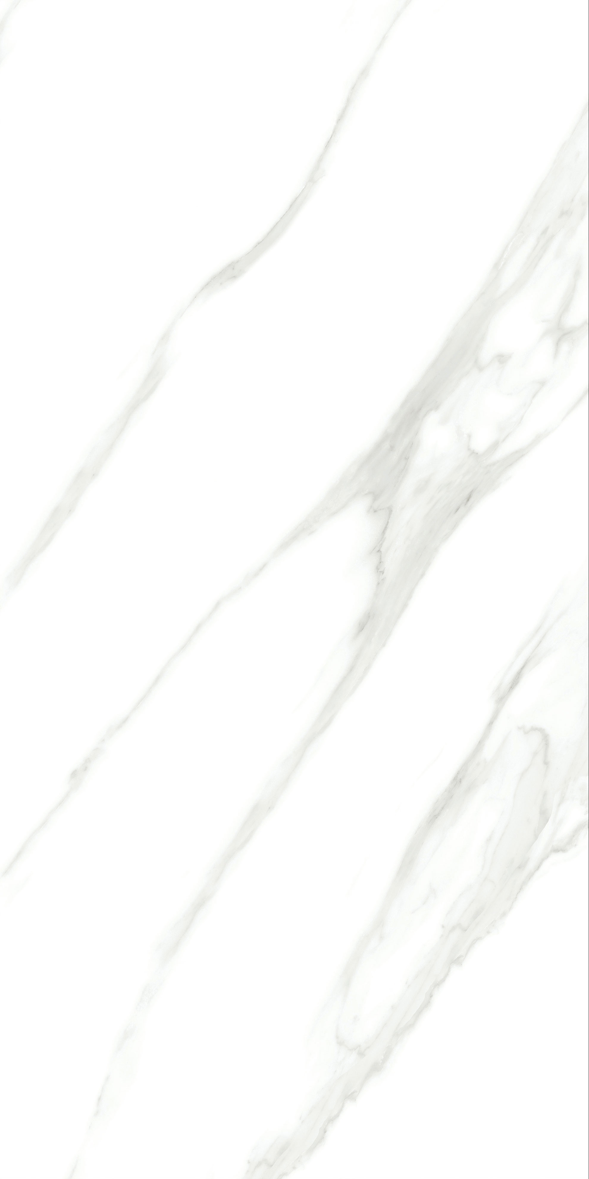 云顶集团·(中国)手机版app下载