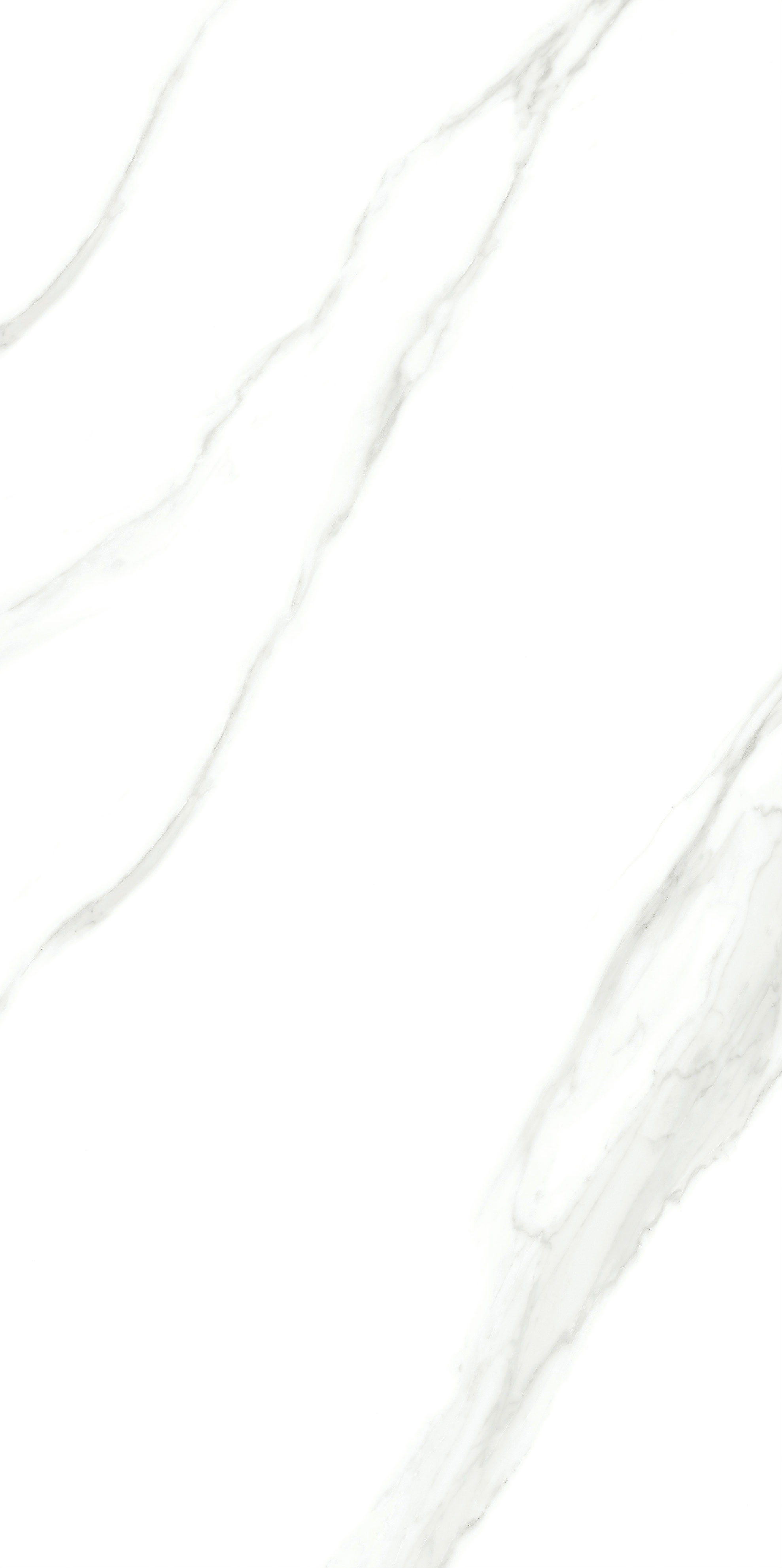 云顶集团·(中国)手机版app下载