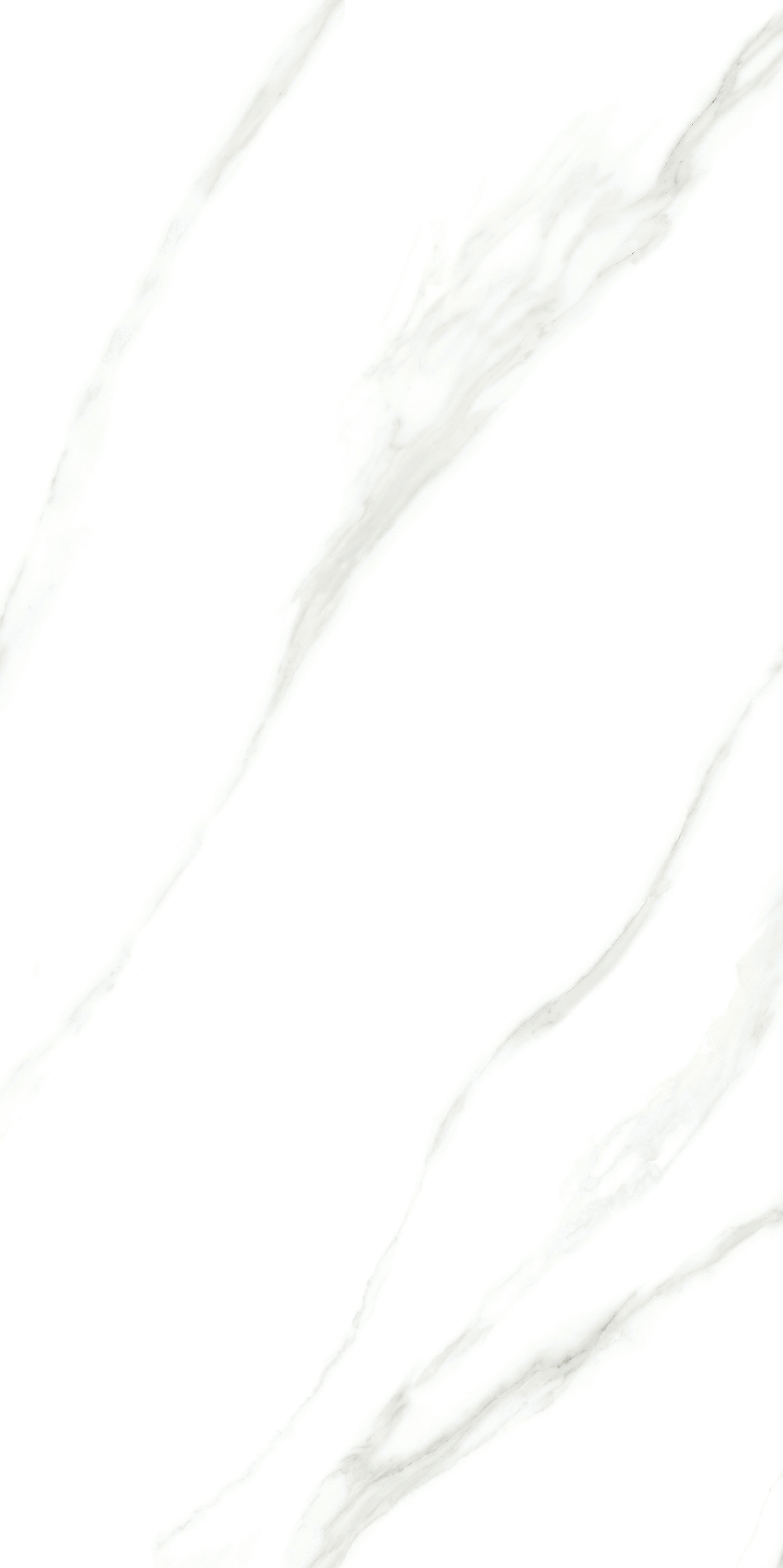 云顶集团·(中国)手机版app下载