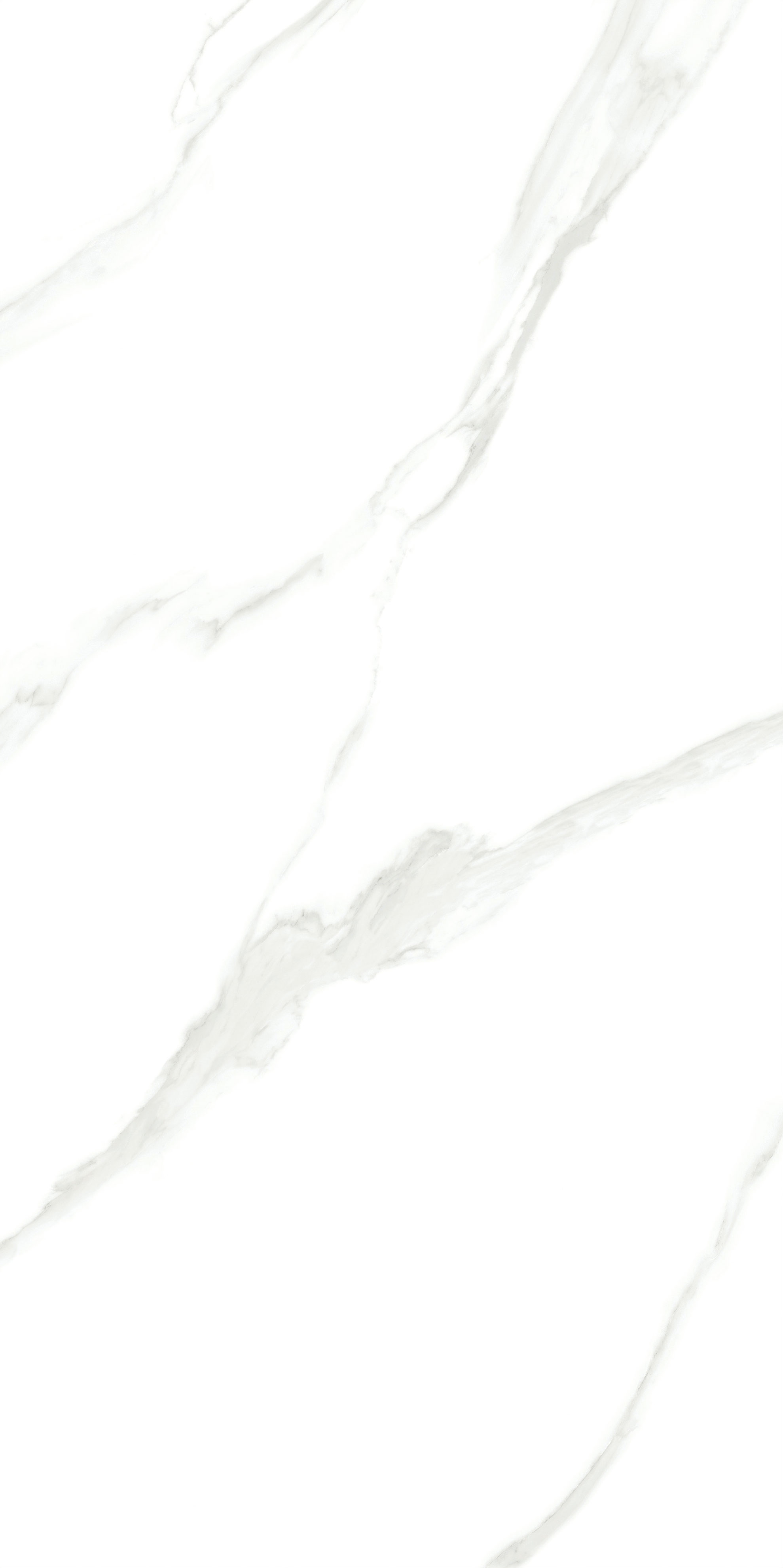 云顶集团·(中国)手机版app下载