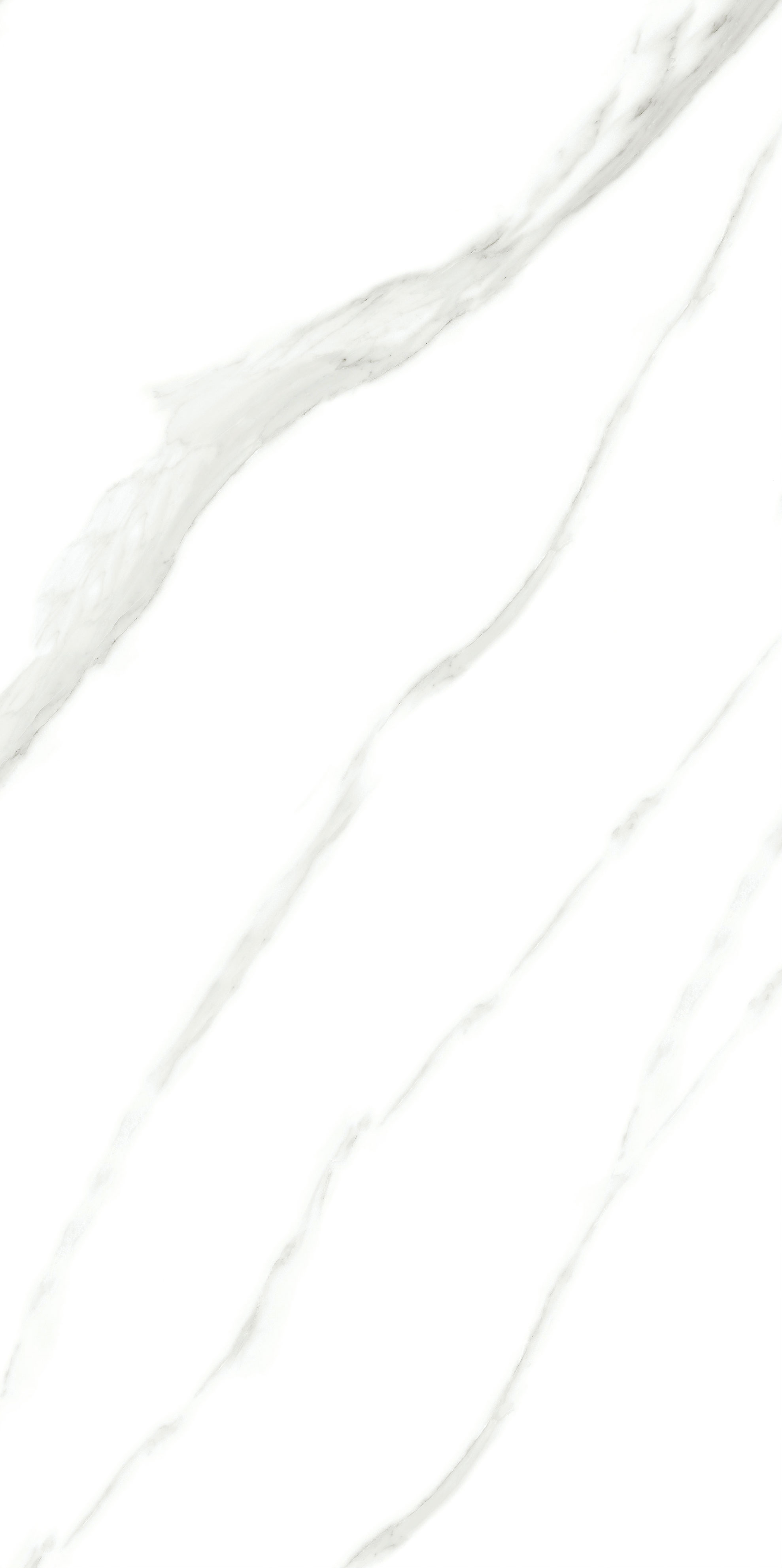 云顶集团·(中国)手机版app下载