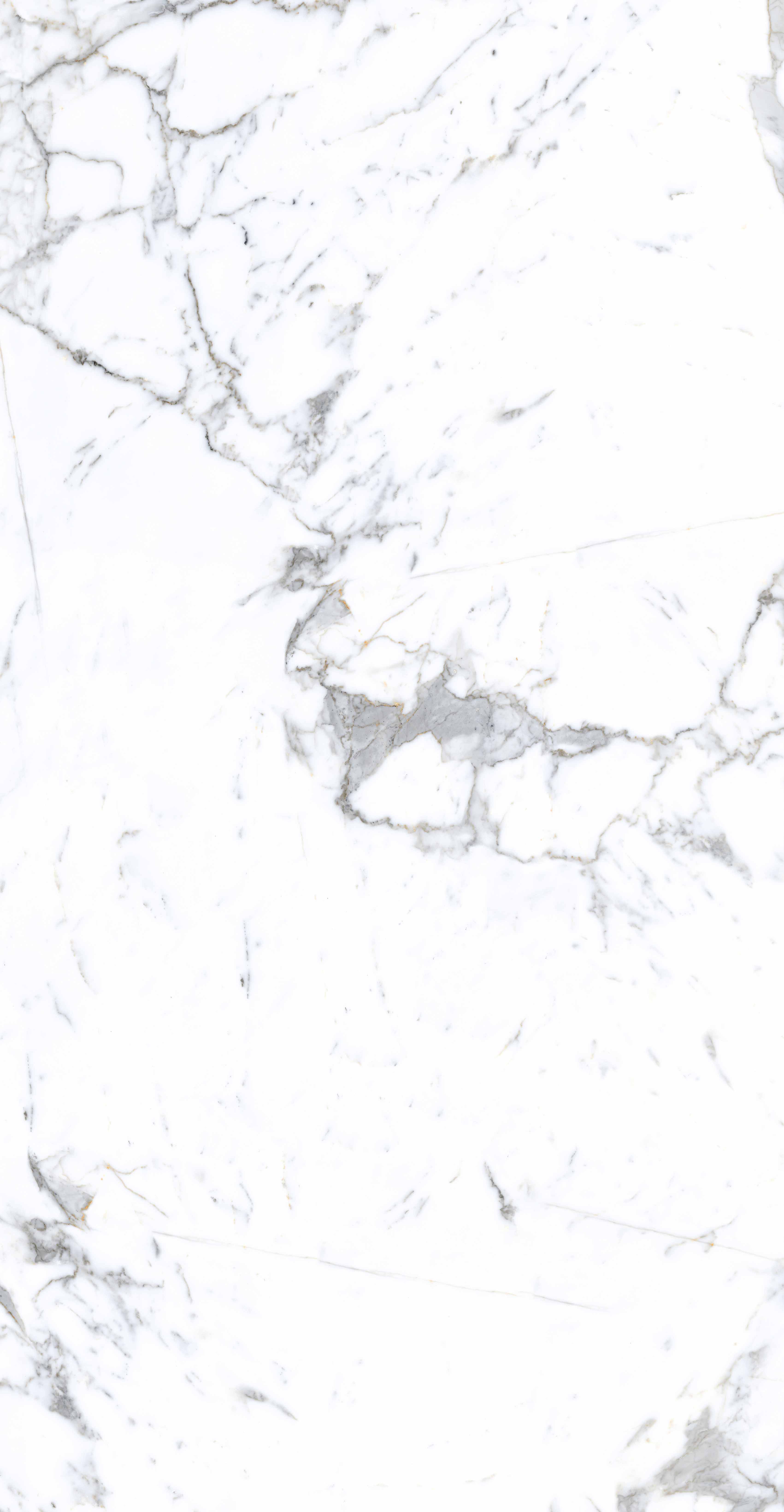 云顶集团·(中国)手机版app下载