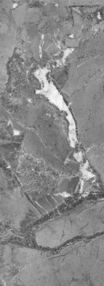 云顶集团·(中国)手机版app下载