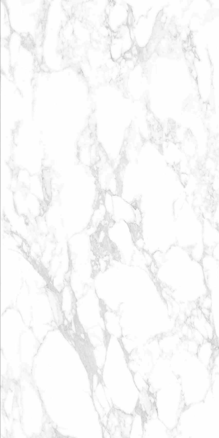 云顶集团·(中国)手机版app下载