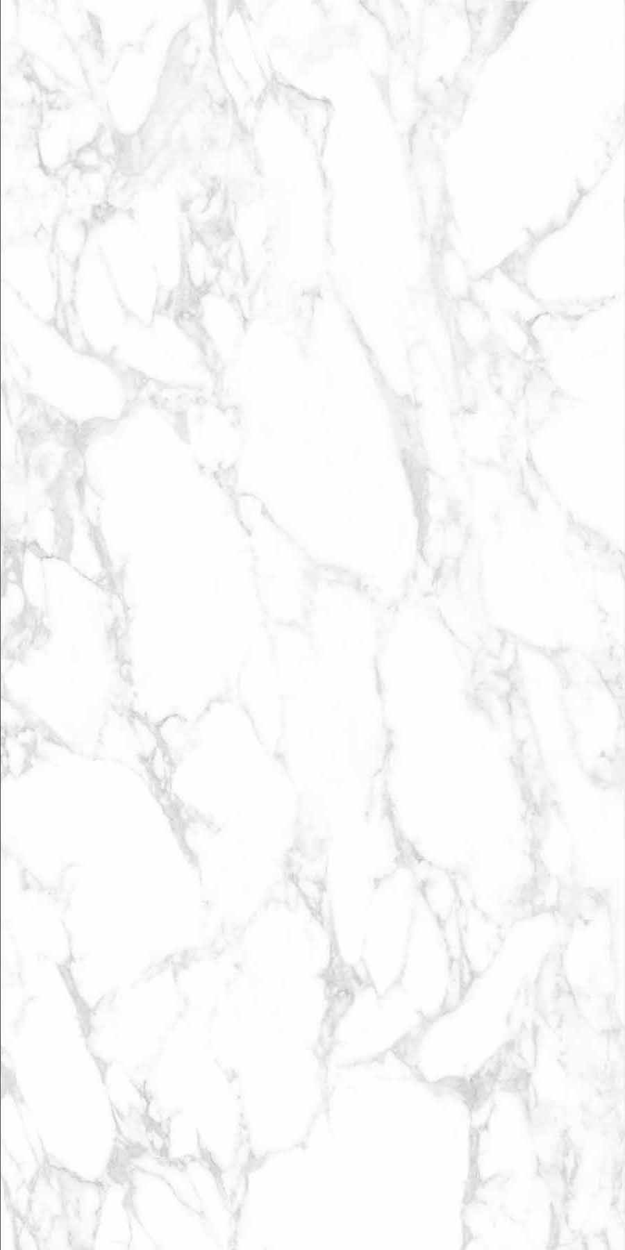 云顶集团·(中国)手机版app下载