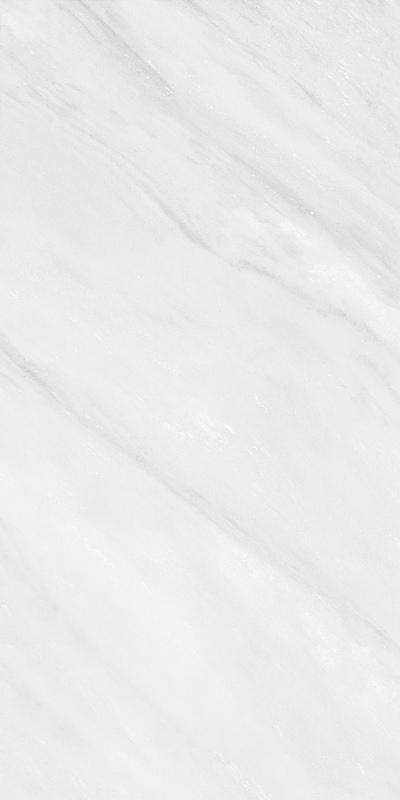 云顶集团·(中国)手机版app下载