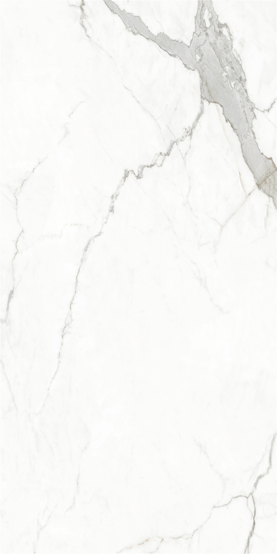 云顶集团·(中国)手机版app下载