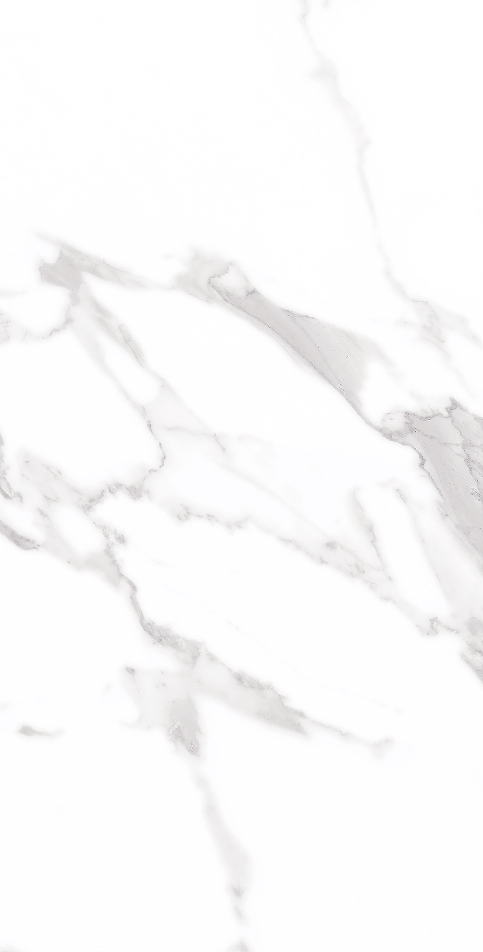 云顶集团·(中国)手机版app下载