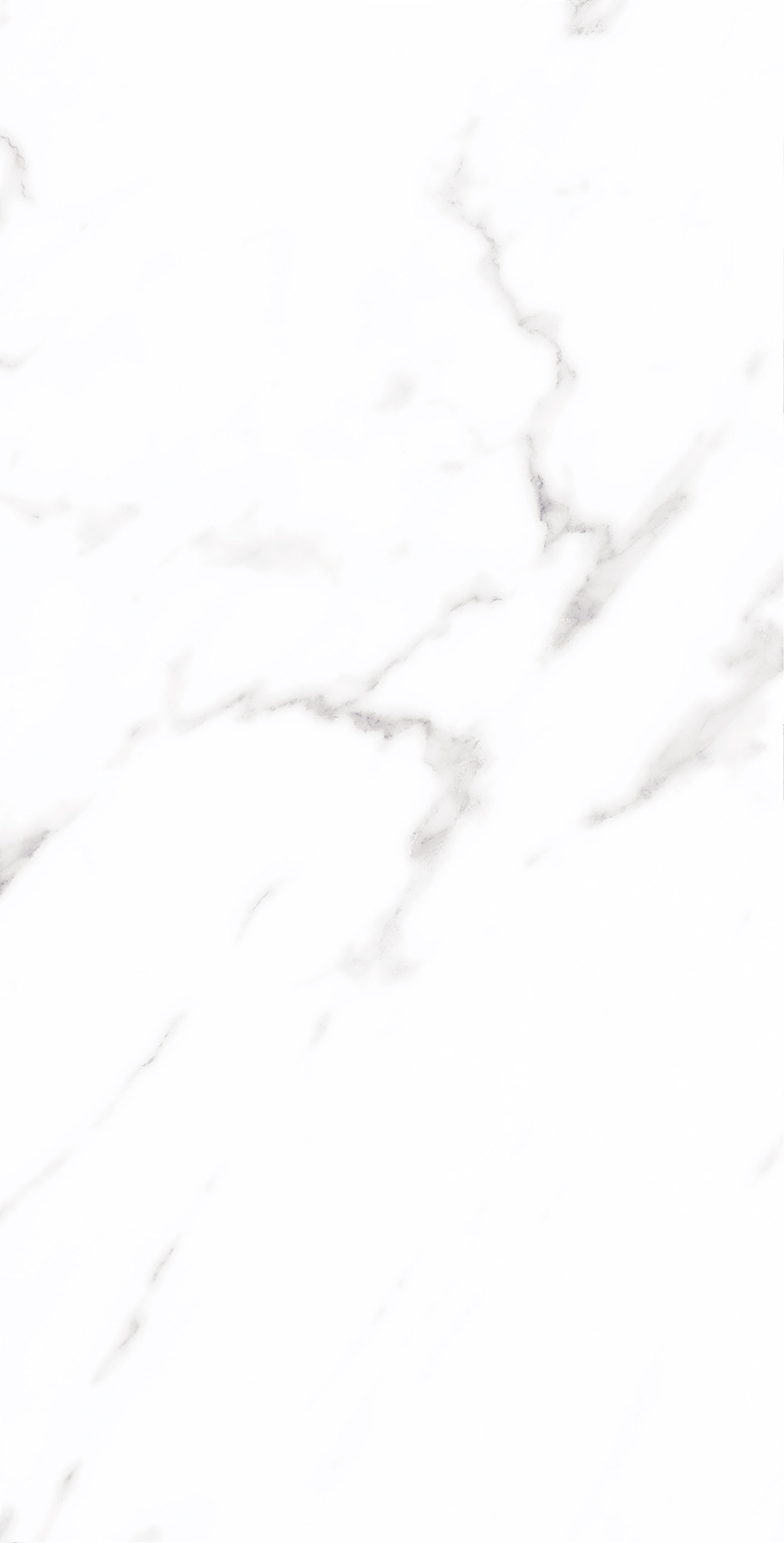 云顶集团·(中国)手机版app下载