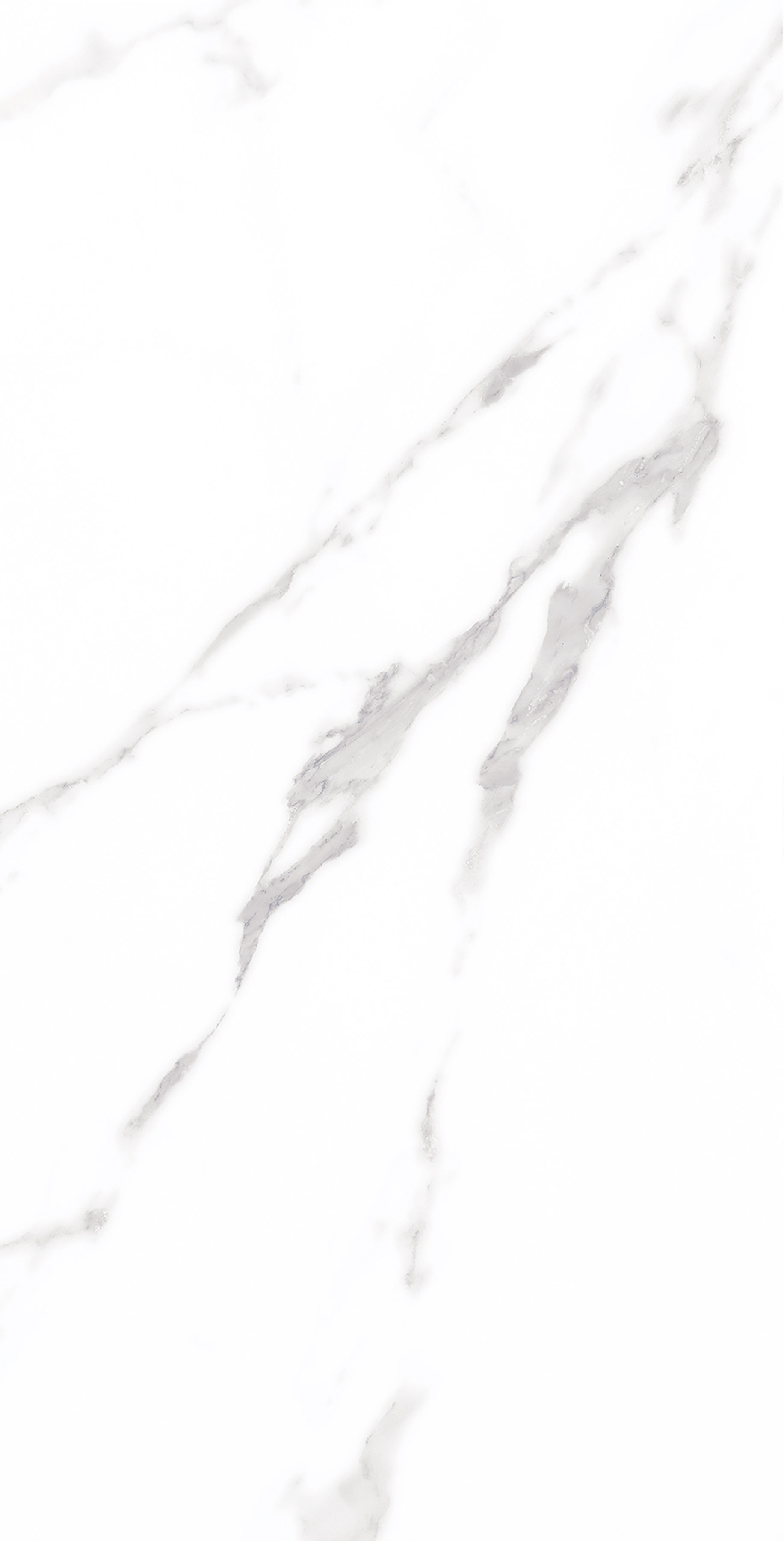 云顶集团·(中国)手机版app下载