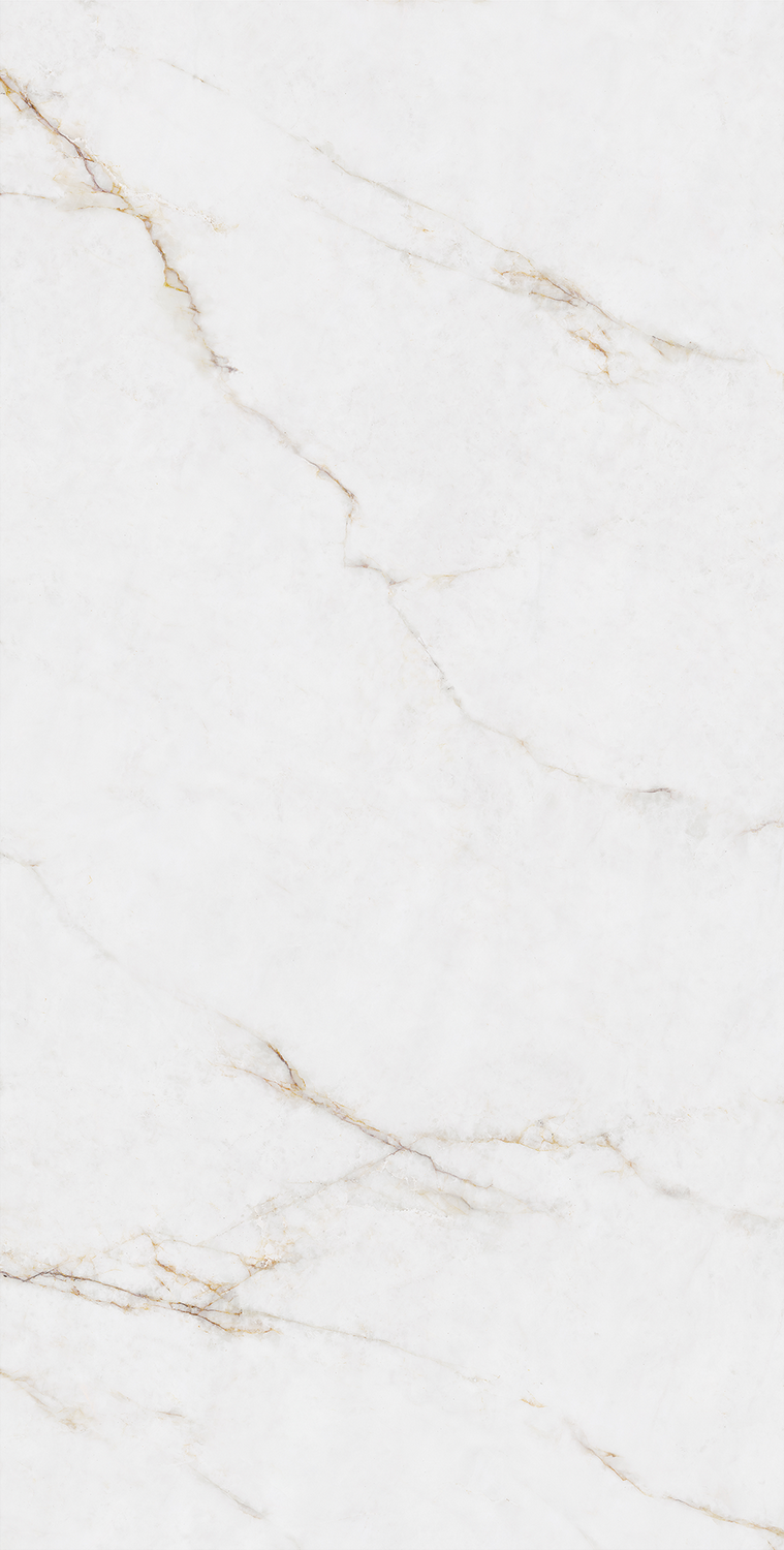 云顶集团·(中国)手机版app下载