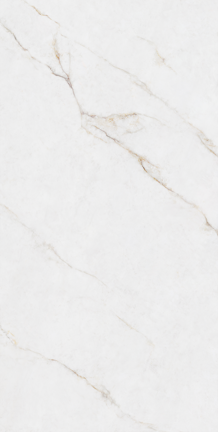 云顶集团·(中国)手机版app下载