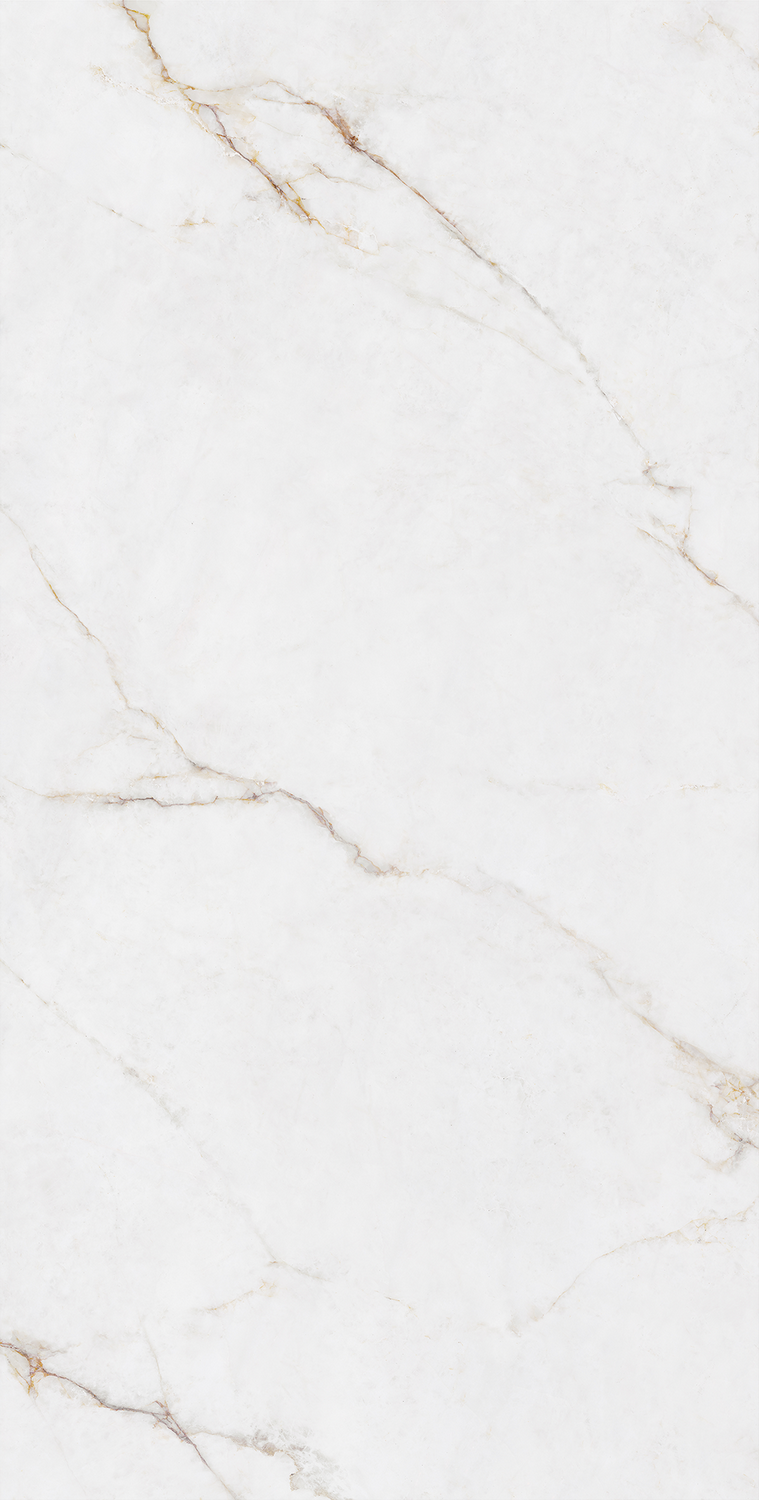 云顶集团·(中国)手机版app下载