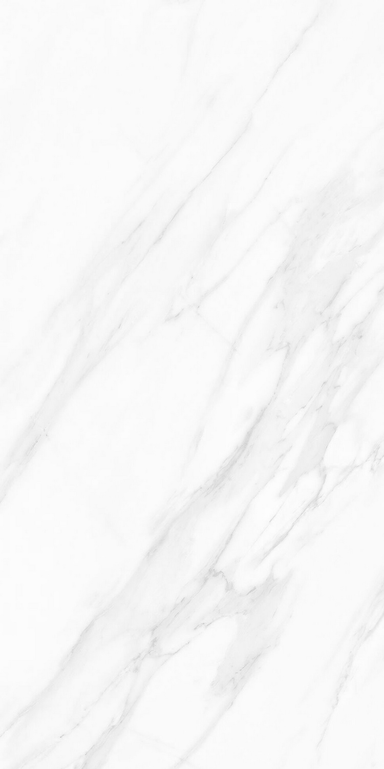 云顶集团·(中国)手机版app下载