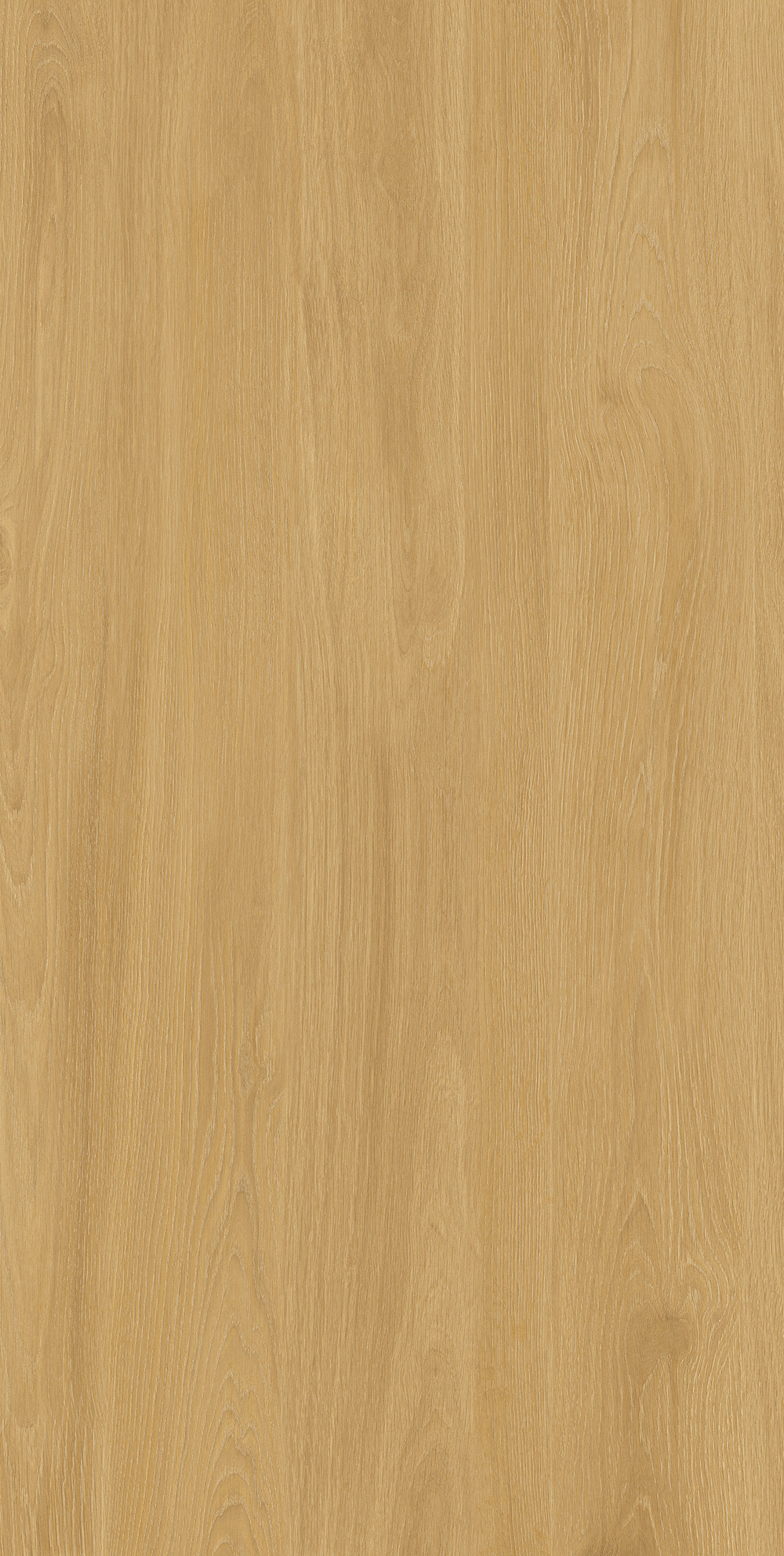 云顶集团·(中国)手机版app下载