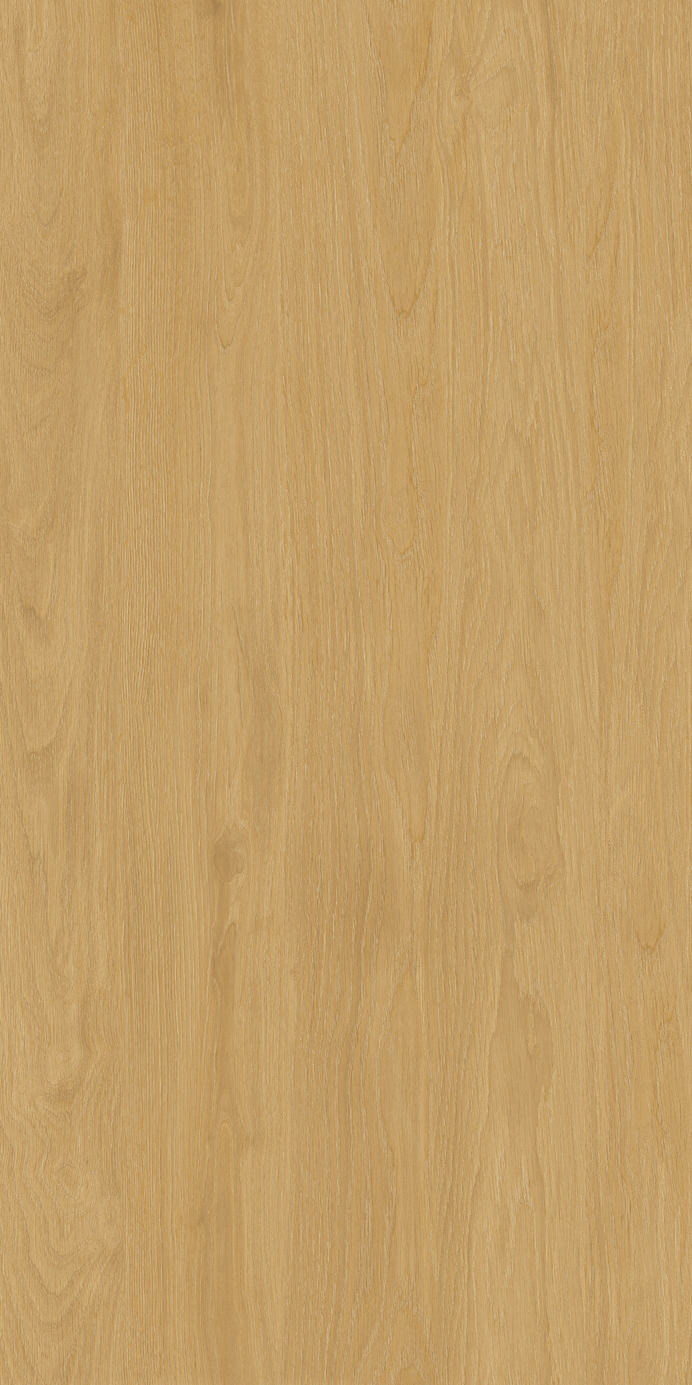 云顶集团·(中国)手机版app下载