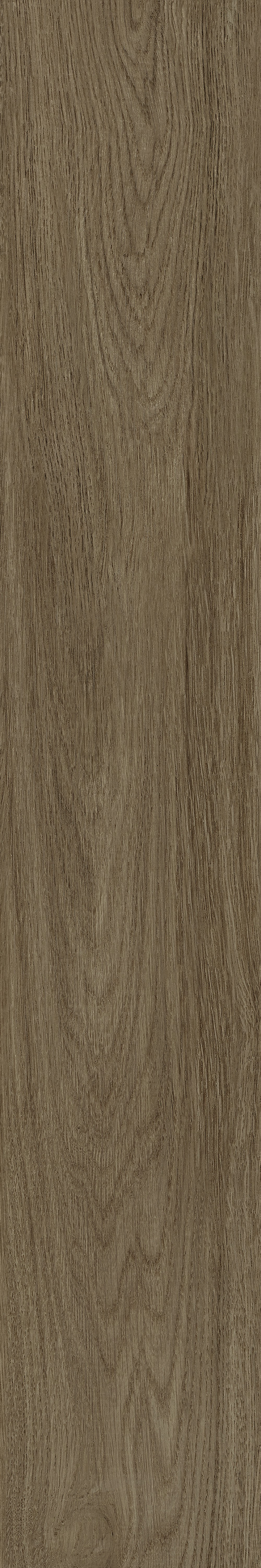 云顶集团·(中国)手机版app下载