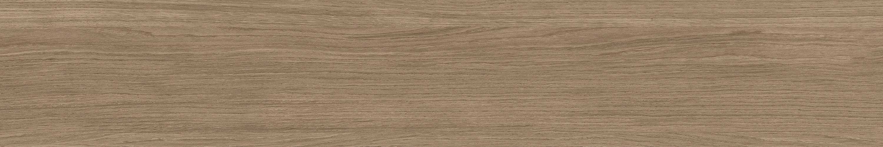 云顶集团·(中国)手机版app下载