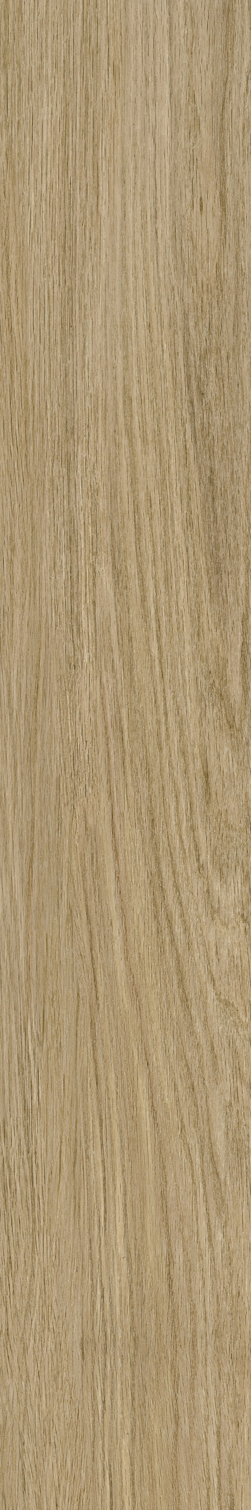 云顶集团·(中国)手机版app下载