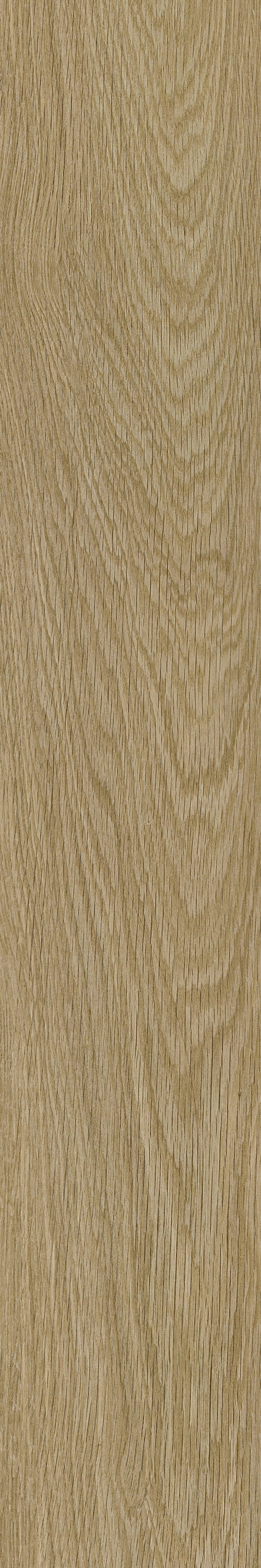 云顶集团·(中国)手机版app下载