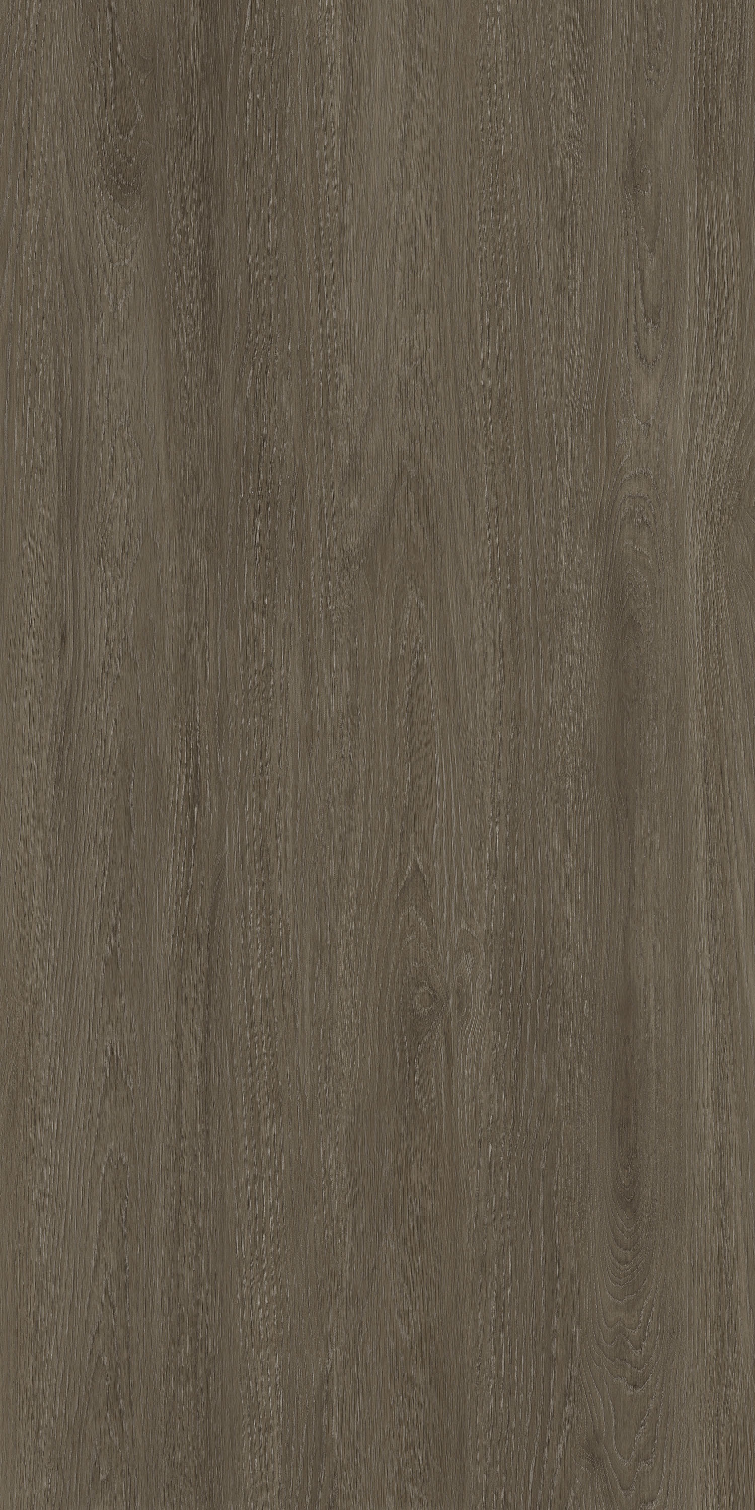 云顶集团·(中国)手机版app下载