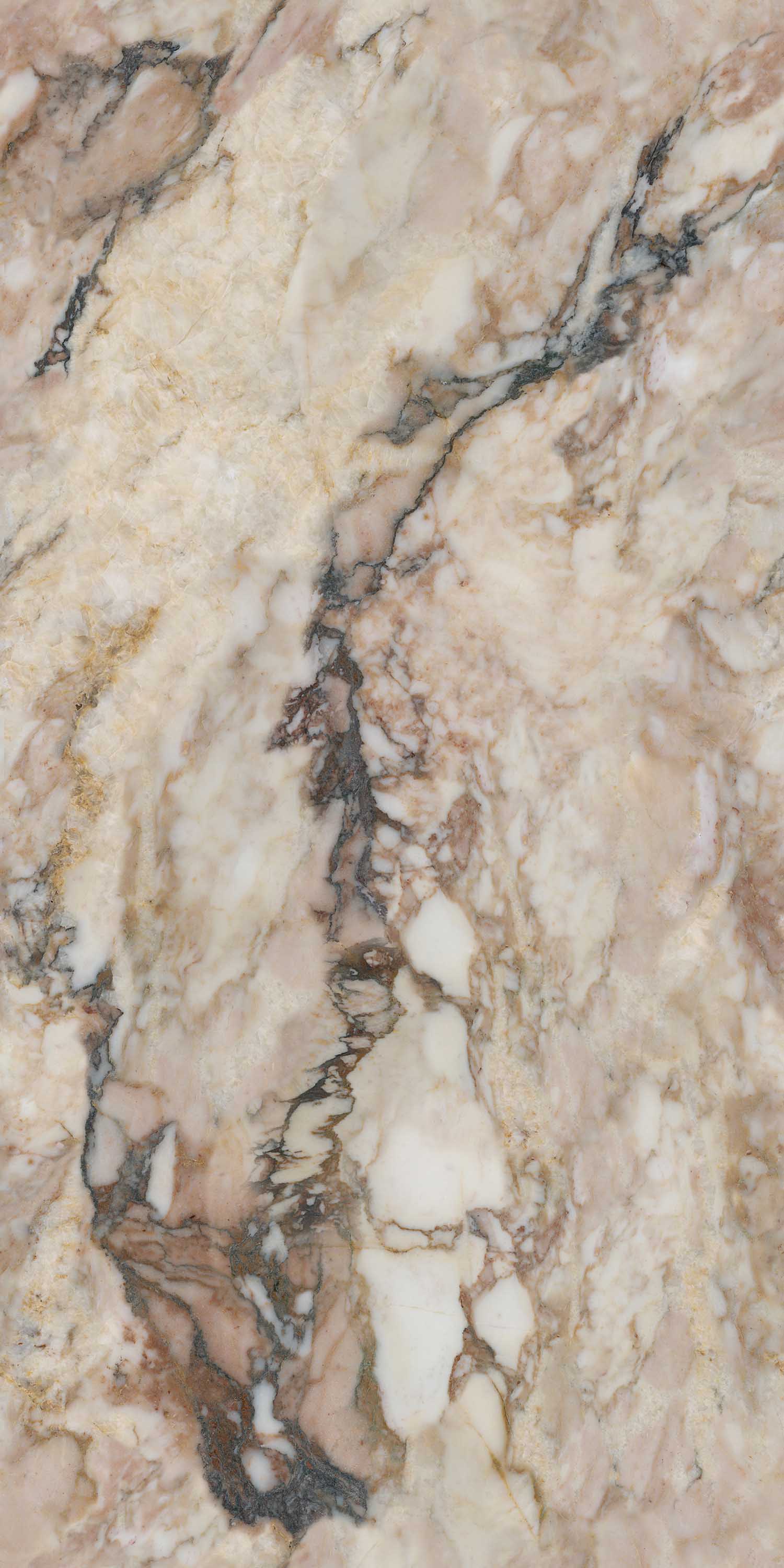 云顶集团·(中国)手机版app下载