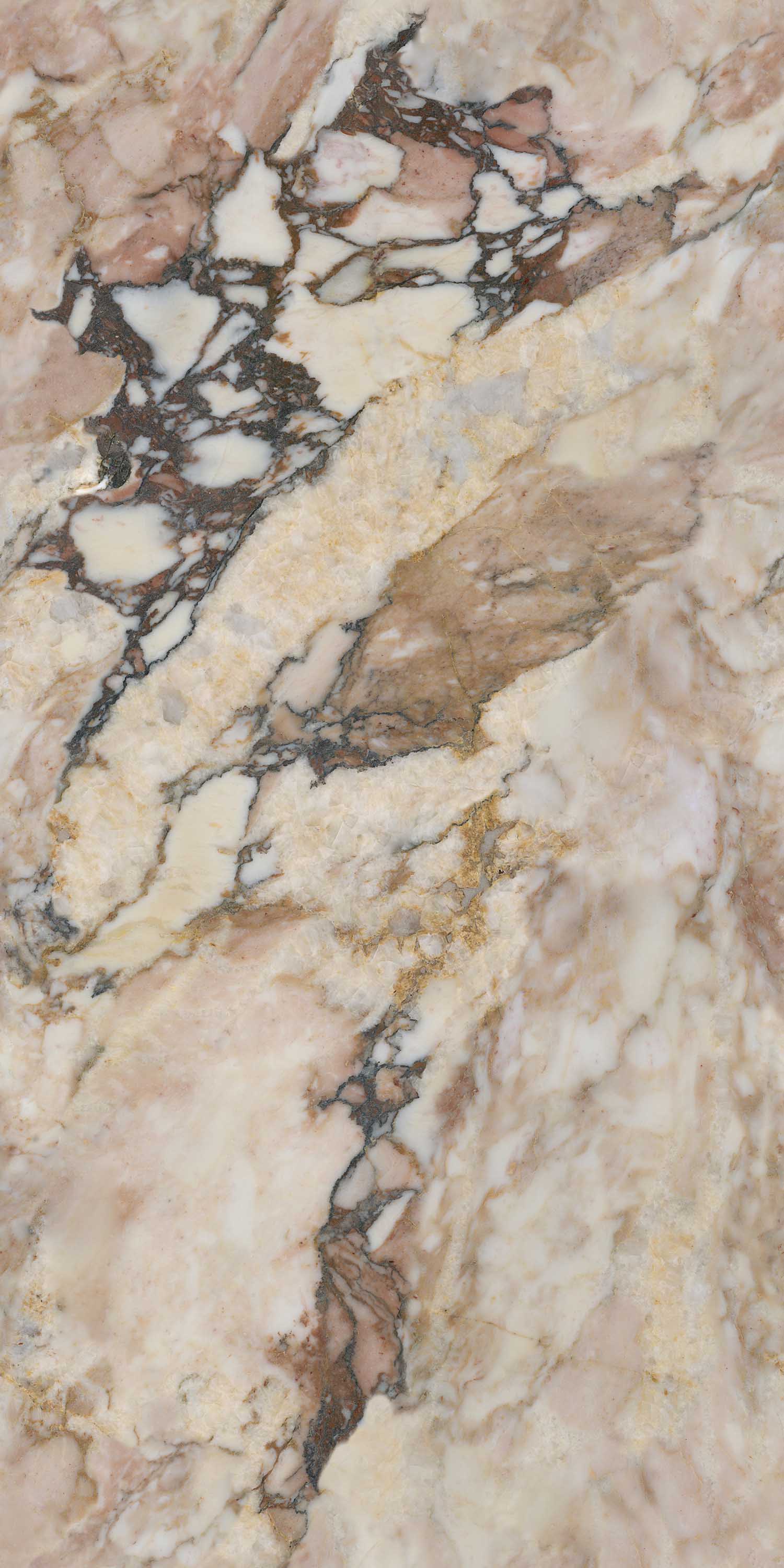 云顶集团·(中国)手机版app下载