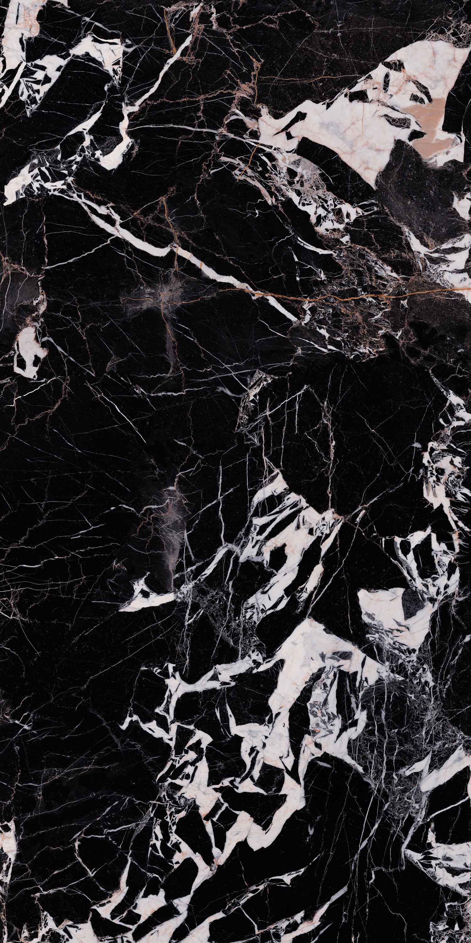 云顶集团·(中国)手机版app下载