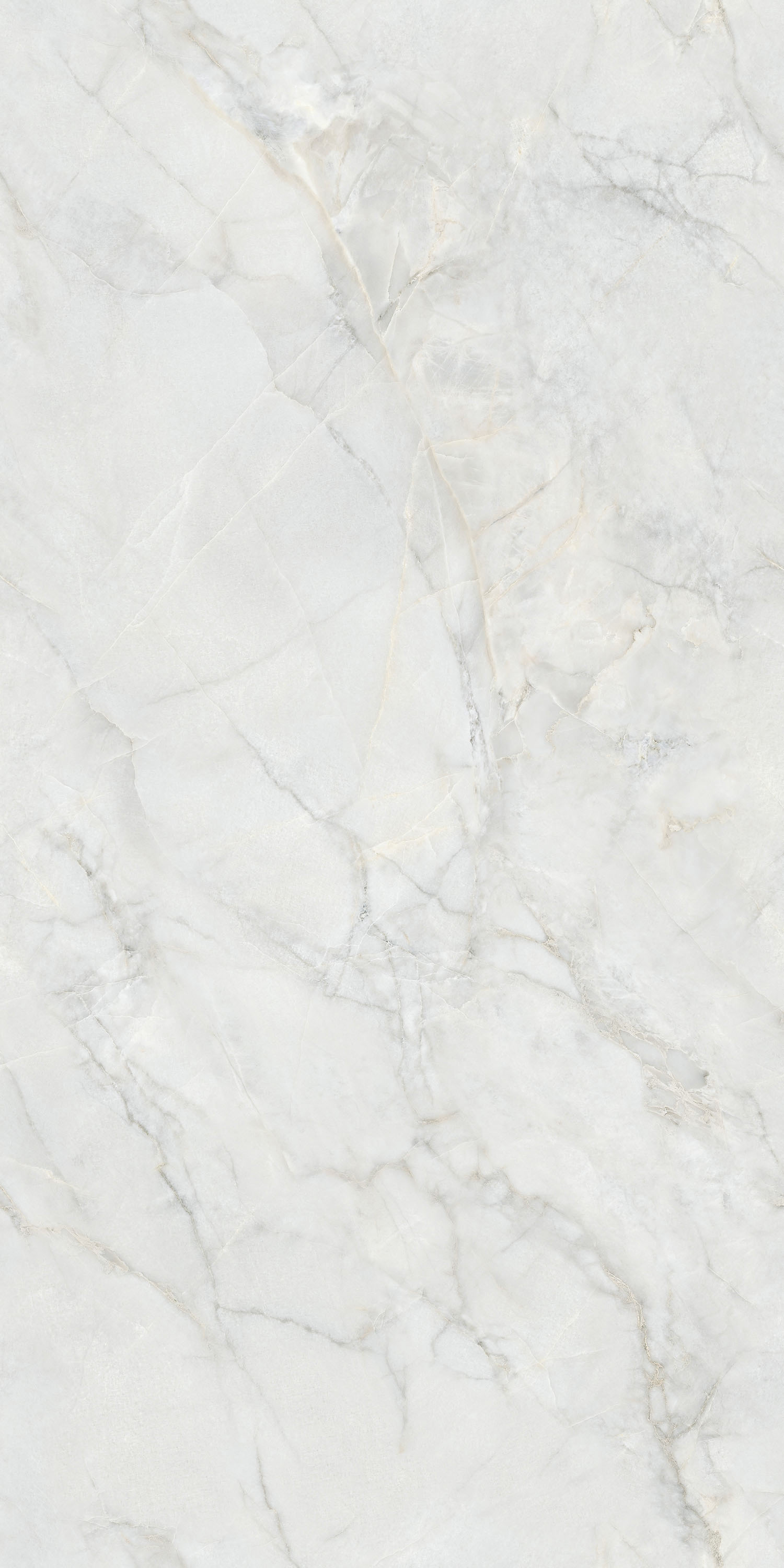 云顶集团·(中国)手机版app下载