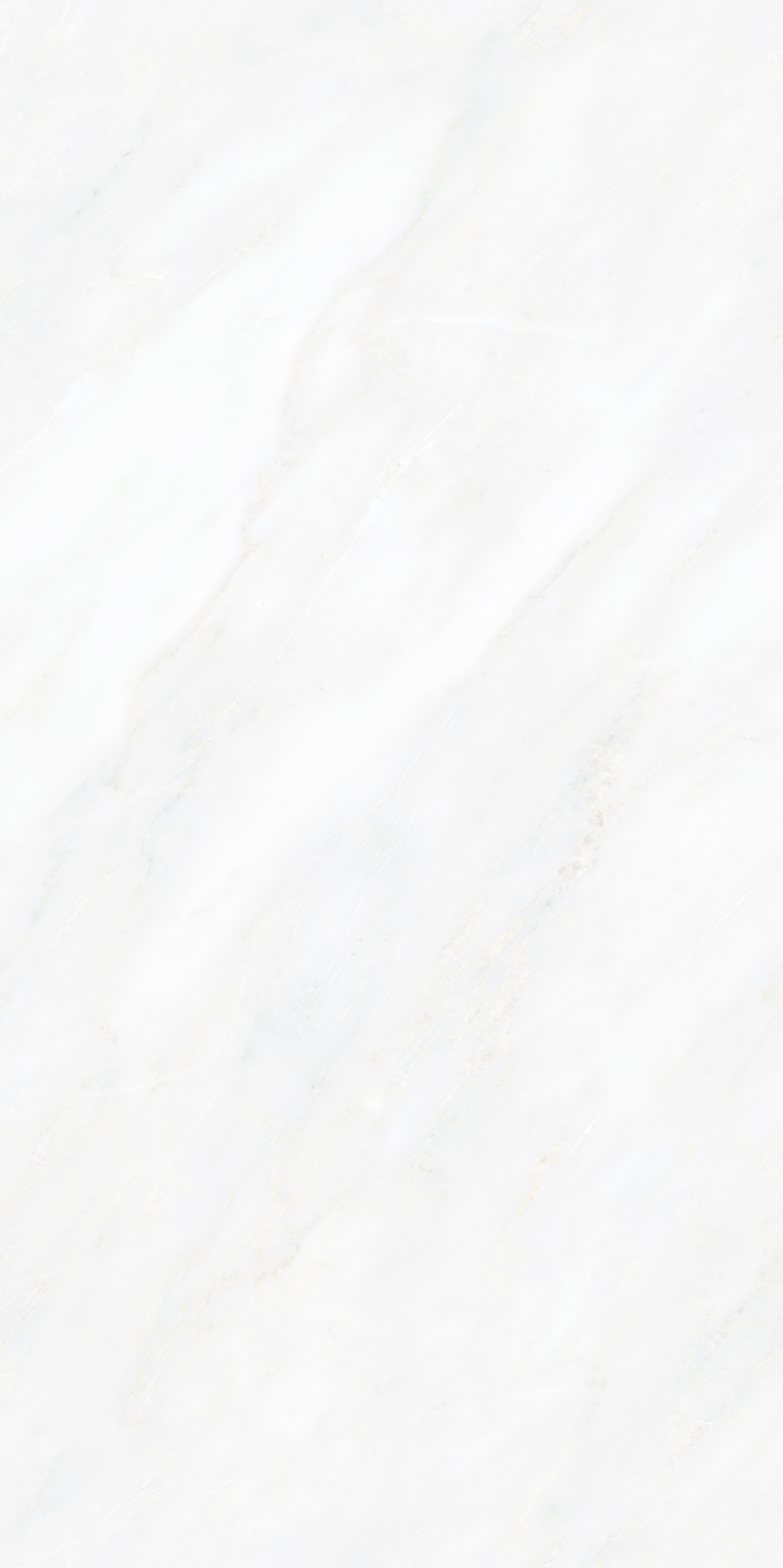 云顶集团·(中国)手机版app下载