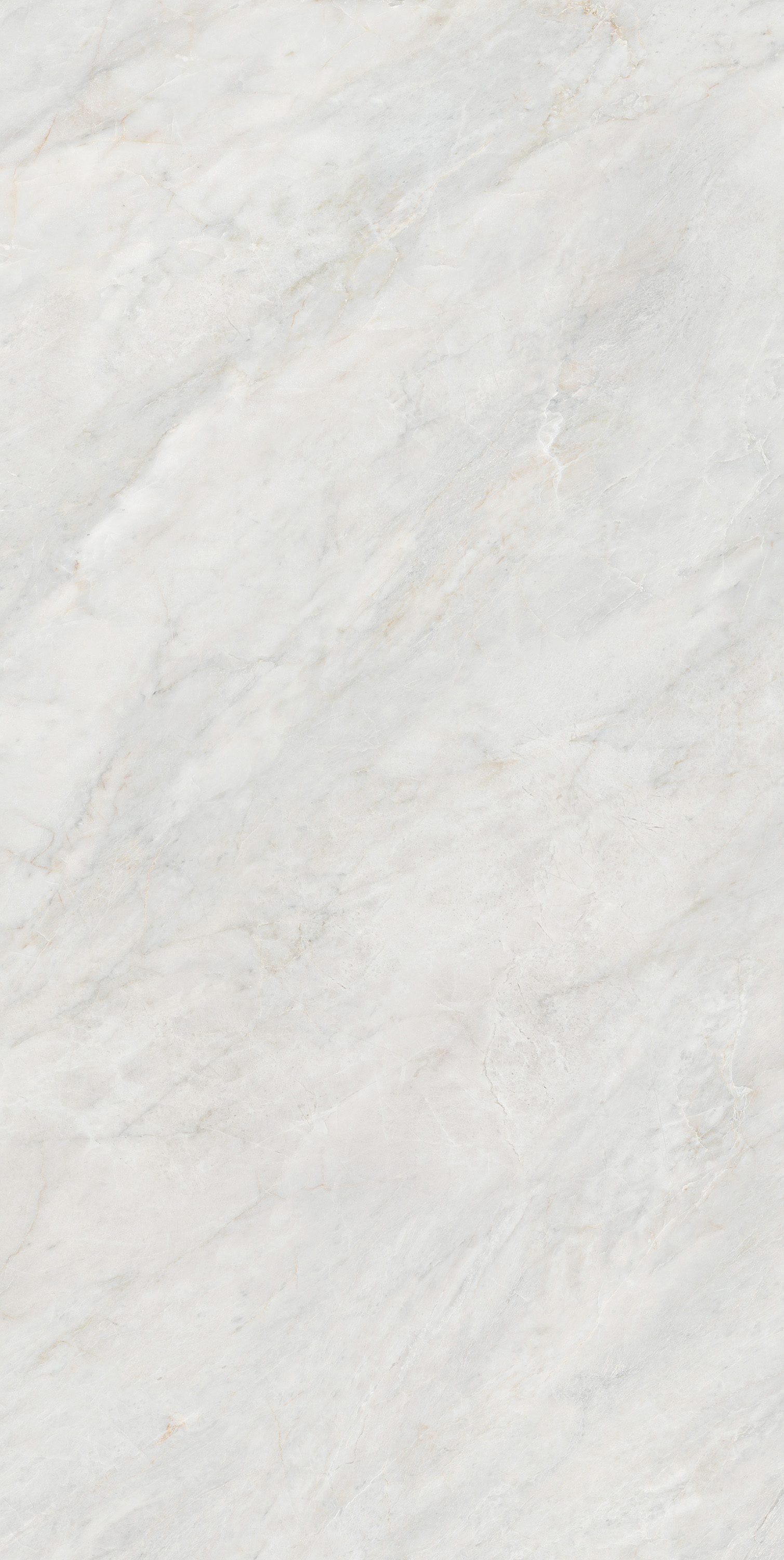 云顶集团·(中国)手机版app下载